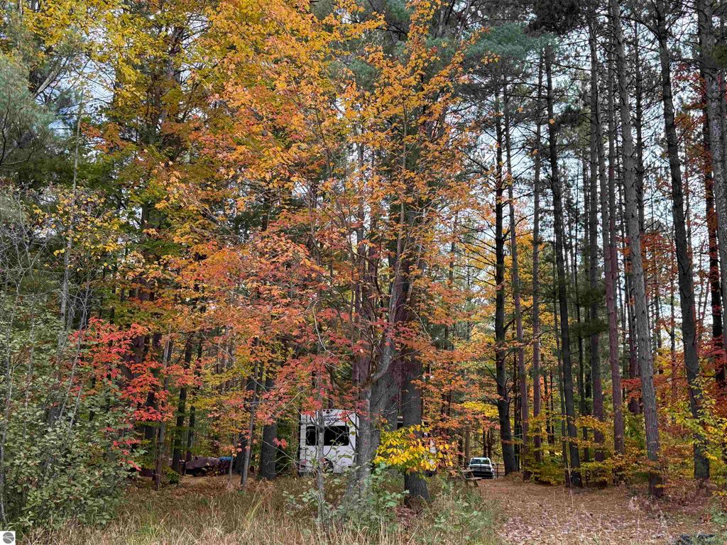 Photo of 1918 N Sharon Road, SE, Kalkaska, MI 49646 (MLS # 1939762)