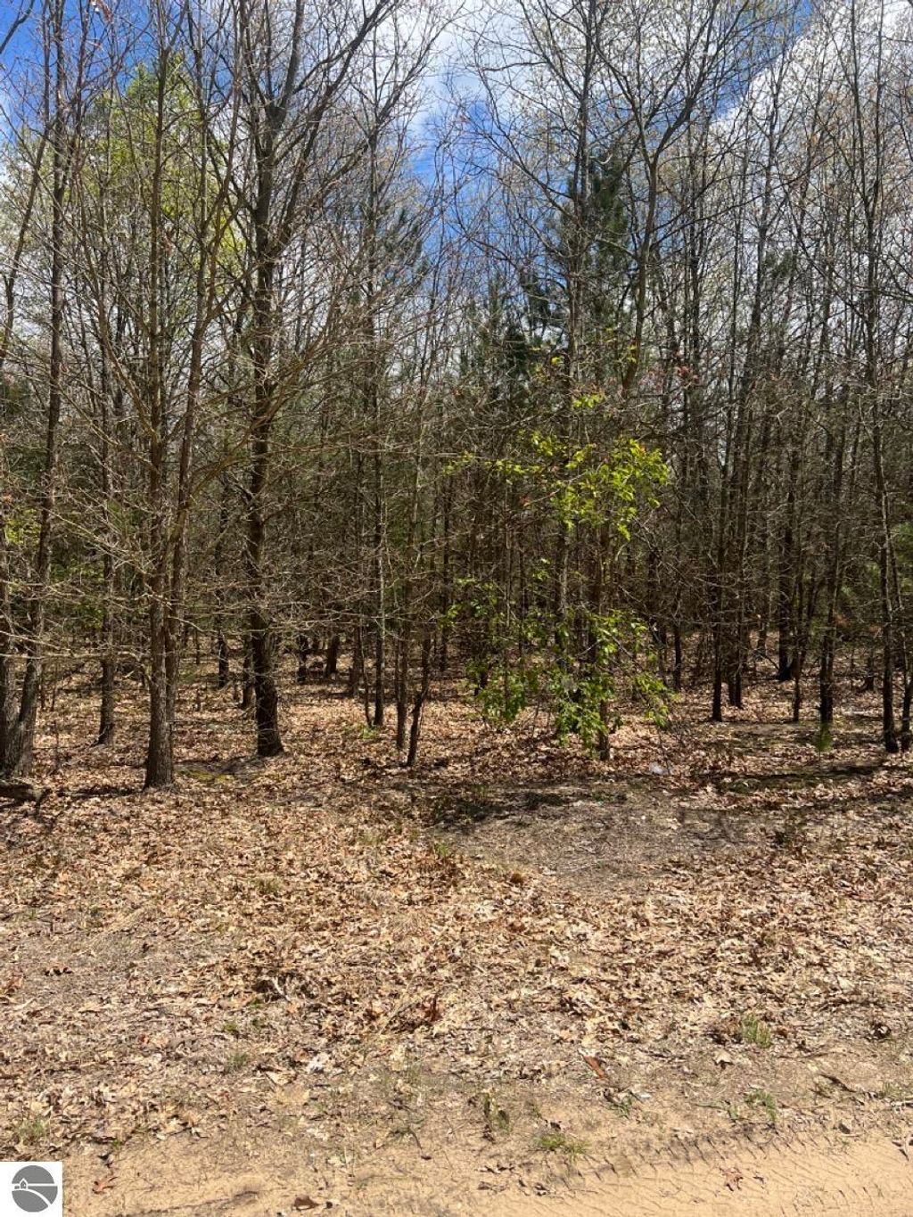 Photo of 00 Horton 14 Mile Road, Mesick, MI 49668 (MLS # 1934271)