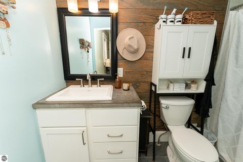 Tiny photo for 308 S 3rd Street, Shepherd, MI 48883 (MLS # 1939350)