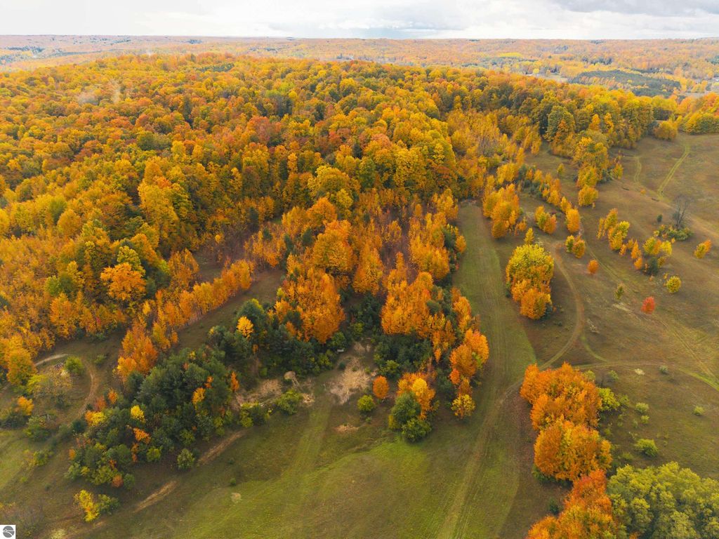 Photo of 24 E Popa Road, Cedar, MI 49621 (MLS # 1939922)