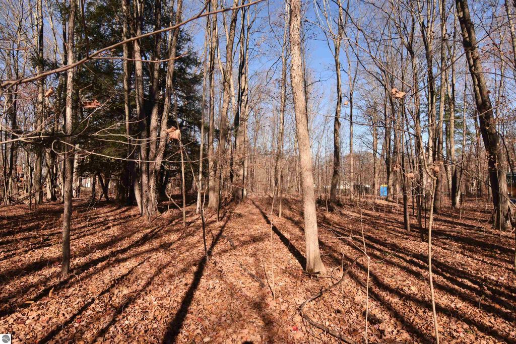 Photo of 00 W M-115, Mesick, MI 49668 (MLS # 1939998)