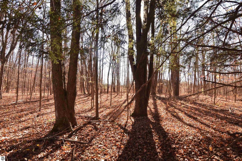 Photo of 00 W M-115, Mesick, MI 49668 (MLS # 1939998)