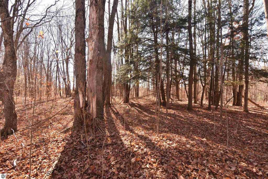 Photo of 00 W M-115, Mesick, MI 49668 (MLS # 1939998)