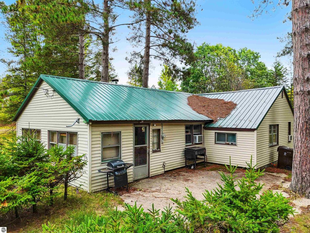 Photo of 1667 E Walker Road, Lake City, MI 49651 (MLS # 1939079)