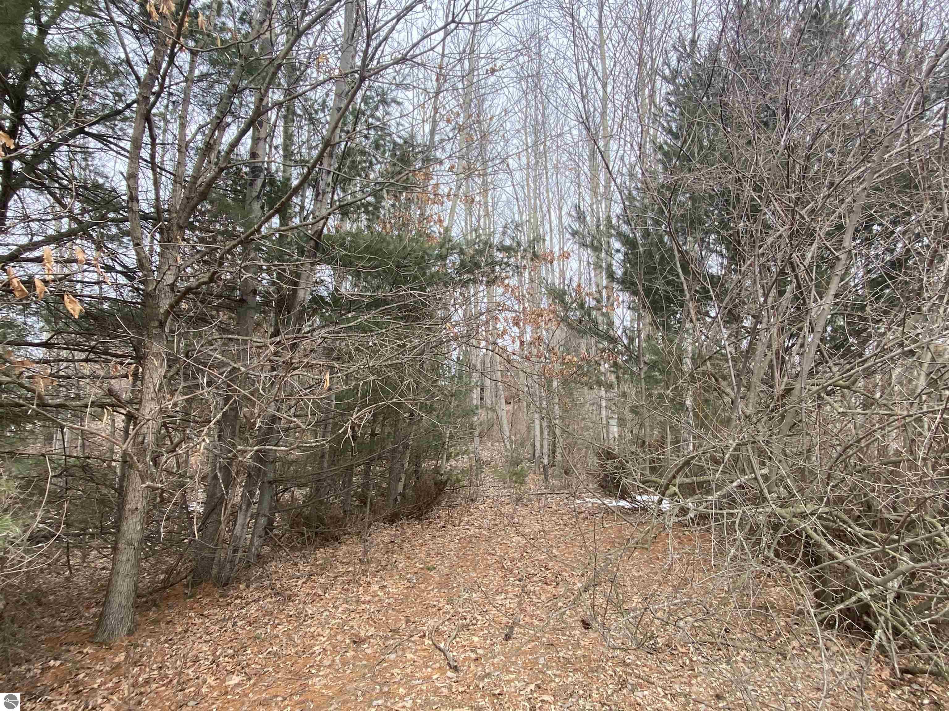 Photo 1 of 17 — Lot 33 Scenic Hills Drive, Williamsburg, MI 49690
