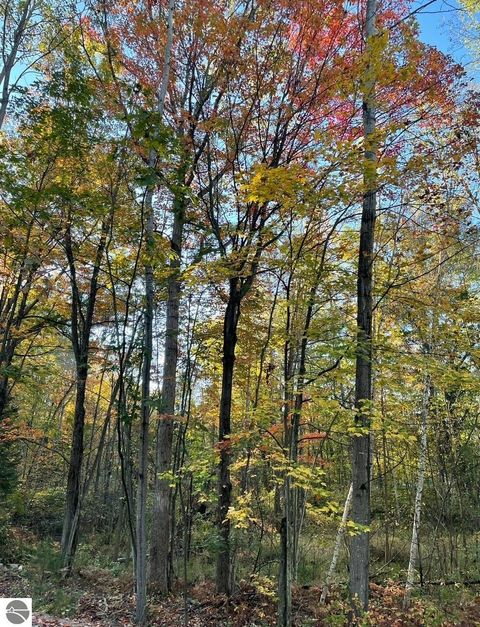 Tiny photo for 6114 Indian Lake Drive, Gladwin, MI 48624 (MLS # 1940773)