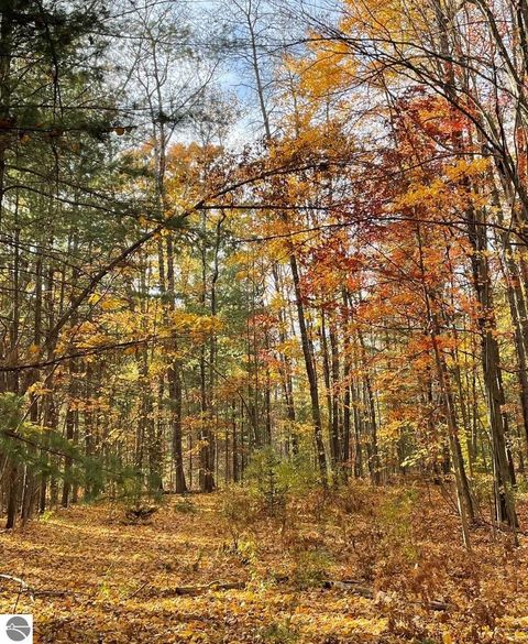 Tiny photo for 6114 Indian Lake Drive, Gladwin, MI 48624 (MLS # 1940773)