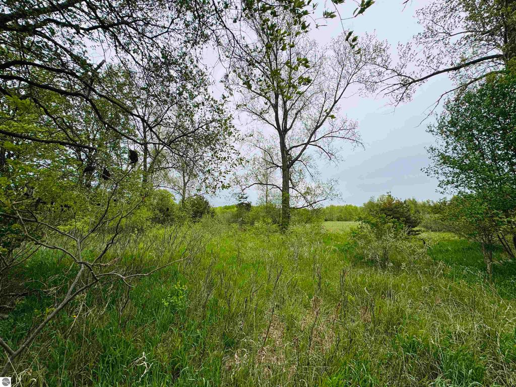 Photo of 3 Bosscher Road, Manton, MI 49663 (MLS # 1934040)