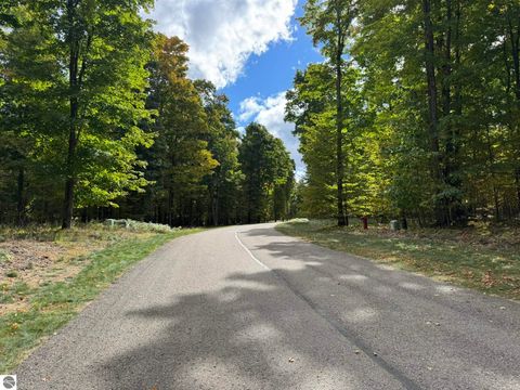 Tiny photo for 2418 Hawks Eye Drive, Bellaire, MI 49615 (MLS # 1939645)