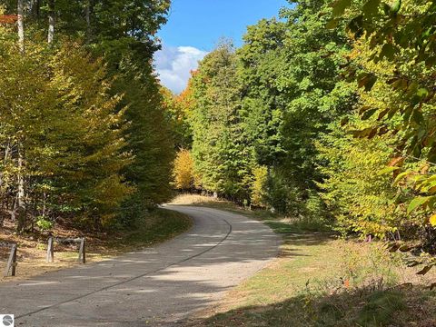 Tiny photo for 2418 Hawks Eye Drive, Bellaire, MI 49615 (MLS # 1939645)