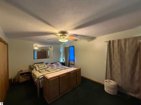 Tiny photo for 250 S Merritt Road, Merritt, MI 49667 (MLS # 1940557)