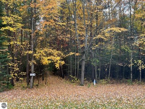 Tiny photo for 1767 W Greenwood Road, Alger, MI 48610 (MLS # 1934987)