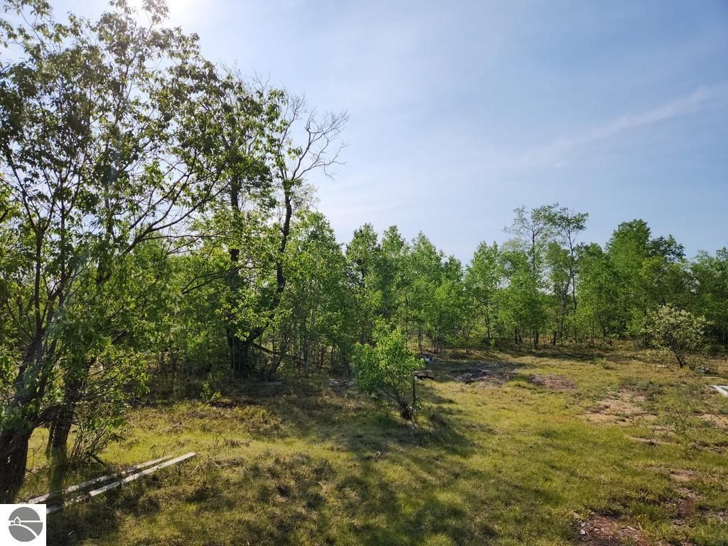 Photo of 4935 Lindsey Lane, Gaylord, MI 49735 (MLS # 1937253)