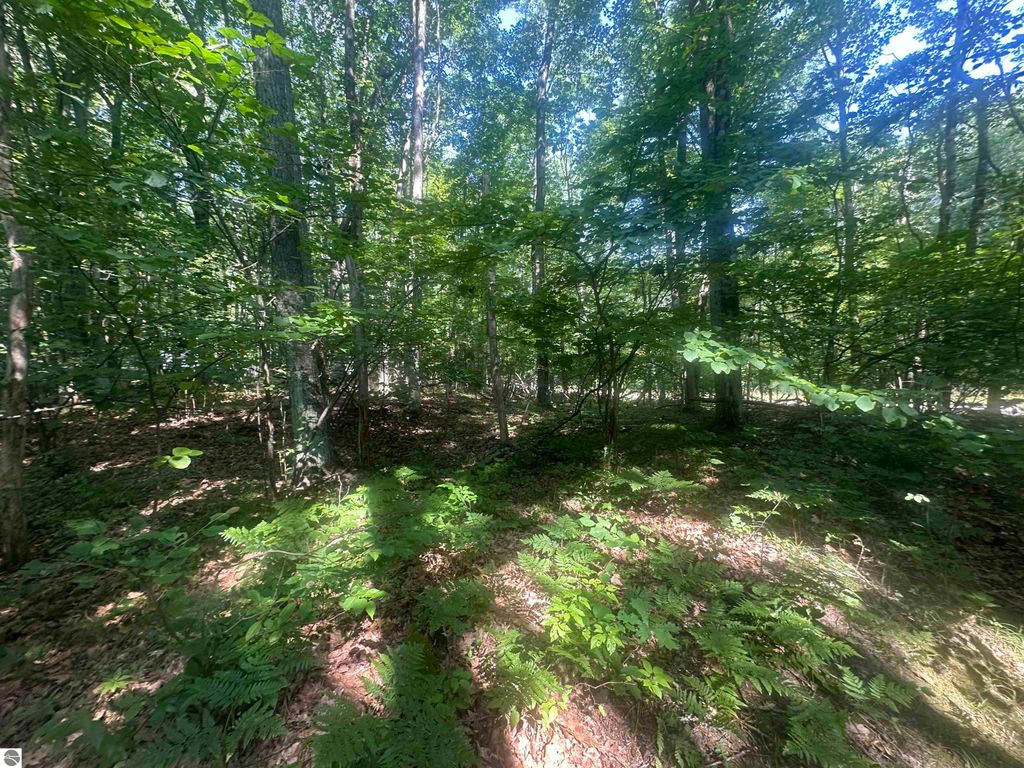 Photo of 179 Mockingbird Circle, Farwell, MI 48622 (MLS # 1937325)