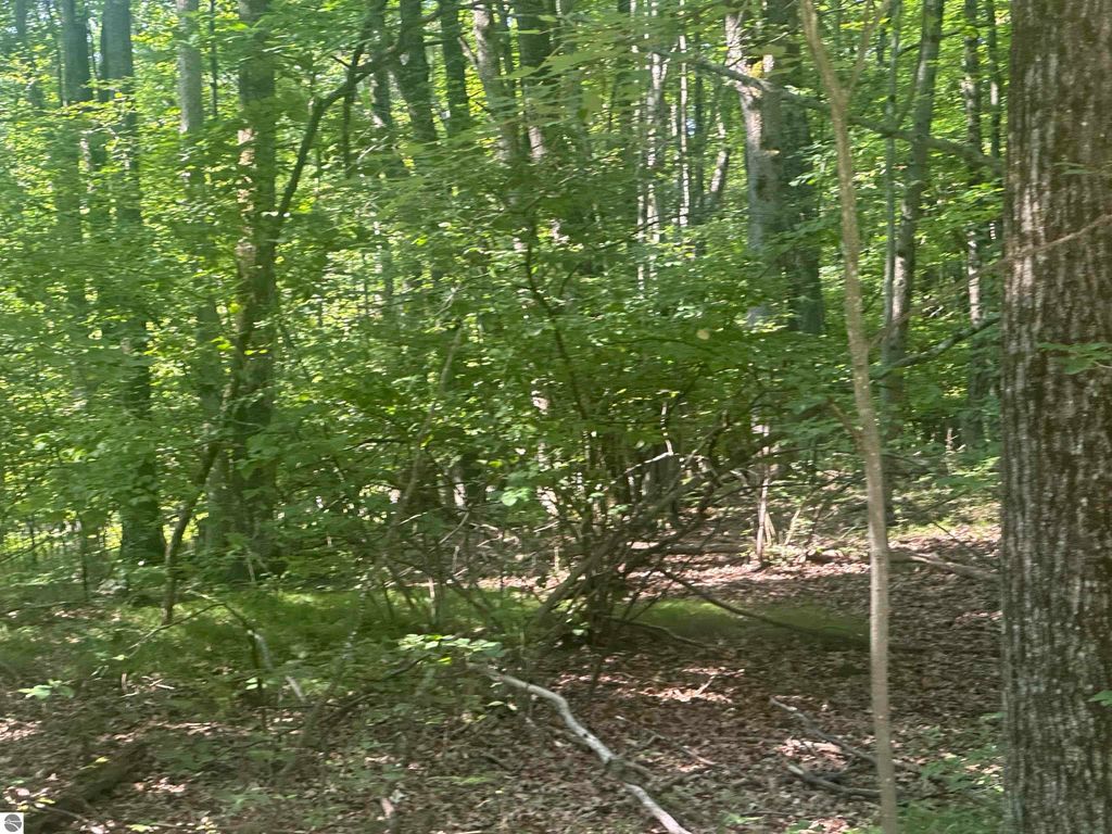 Photo of 179 Mockingbird Circle, Farwell, MI 48622 (MLS # 1937325)