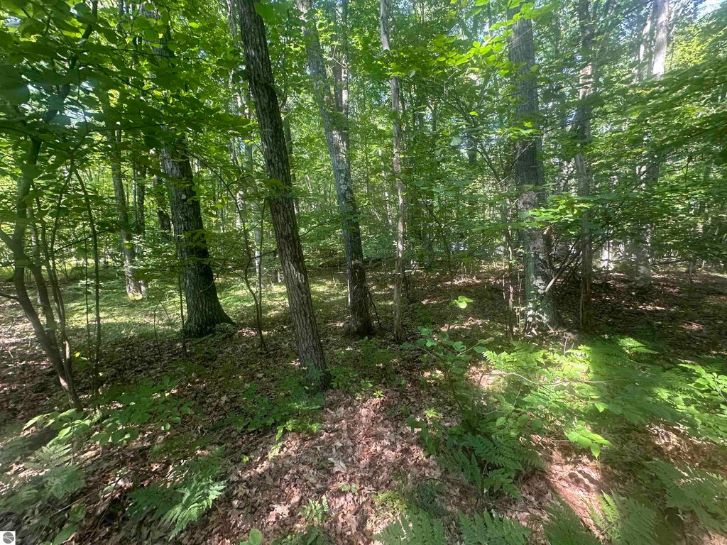 Photo of 179 Mockingbird Circle, Farwell, MI 48622 (MLS # 1937325)