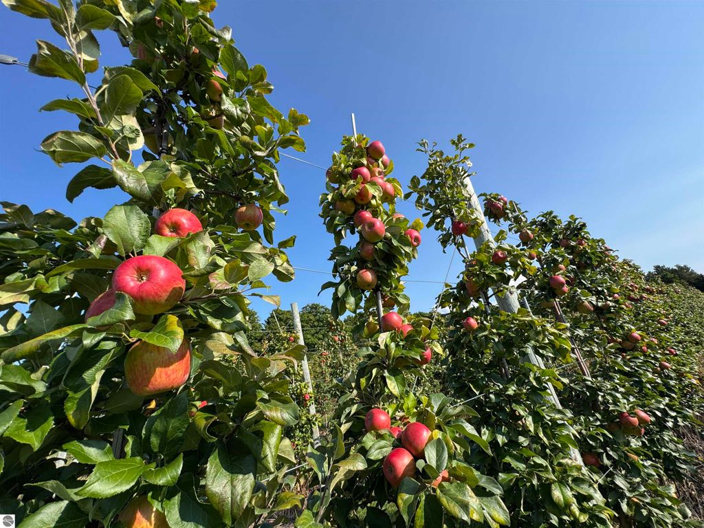 Photo of 8200 W Empire Highway, Empire, MI 49630 (MLS # 1940510)