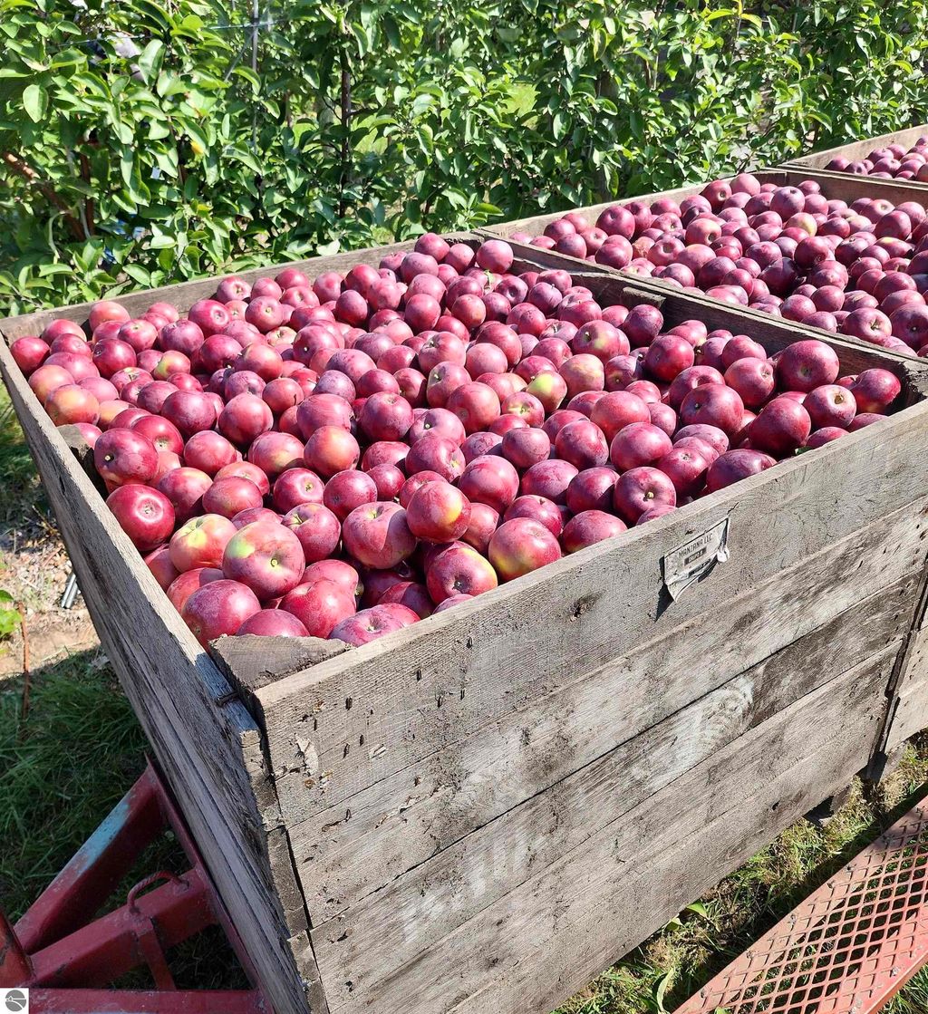 Photo of 8200 W Empire Highway, Empire, MI 49630 (MLS # 1940510)