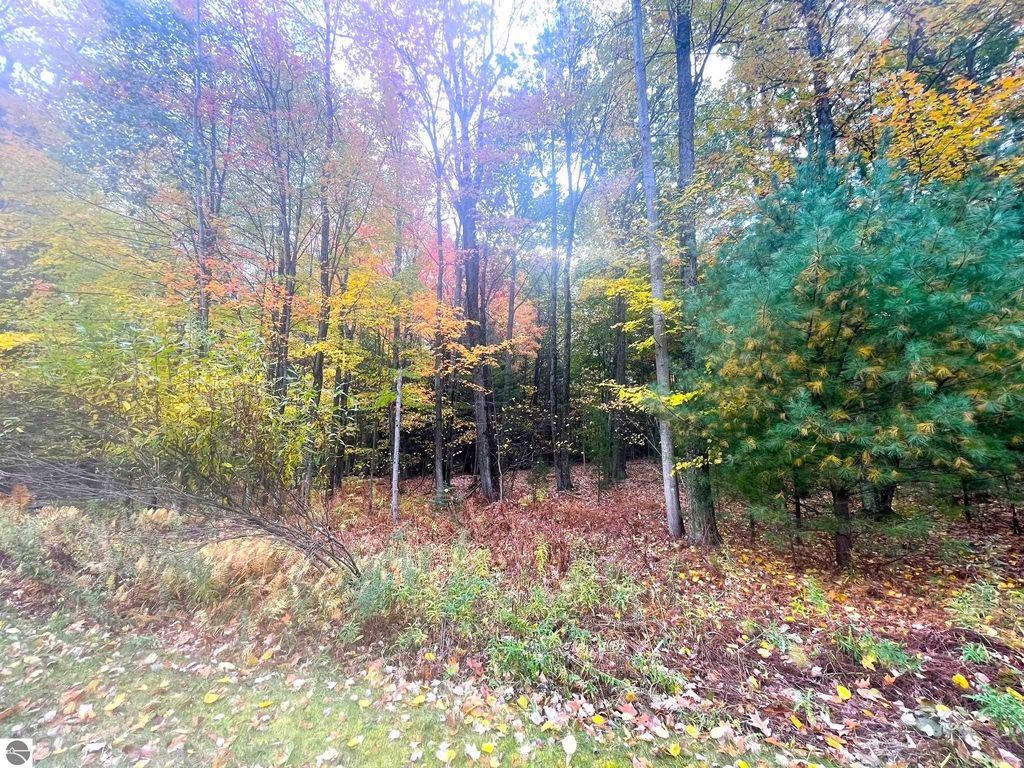 Photo of TBD Hilltop Lane, Mt Pleasant, MI 48858 (MLS # 1928191)