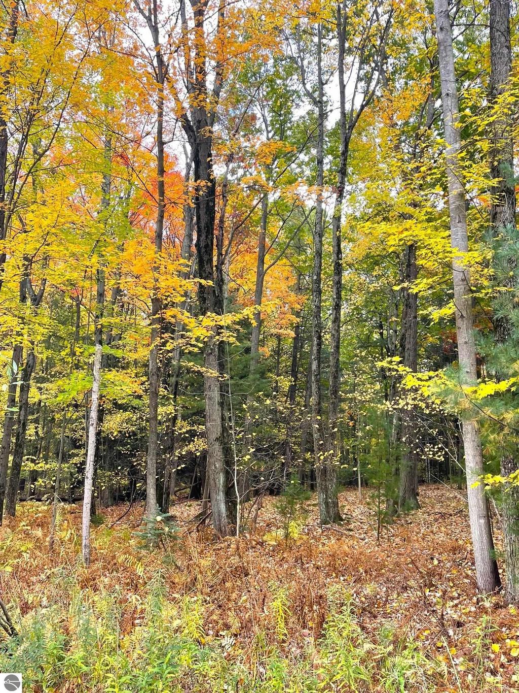 Photo of TBD Hilltop Lane, Mt Pleasant, MI 48858 (MLS # 1928191)