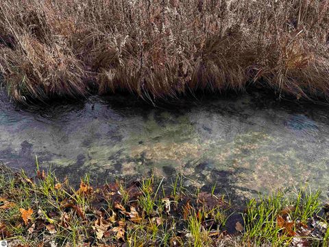 Tiny photo for 5349 Grass River Road, Bellaire, MI 49615 (MLS # 1941087)