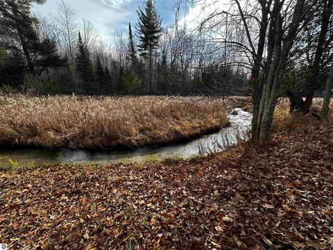 Tiny photo for 5349 Grass River Road, Bellaire, MI 49615 (MLS # 1941087)