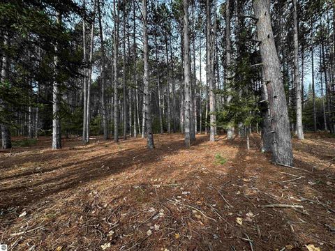 Tiny photo for 5349 Grass River Road, Bellaire, MI 49615 (MLS # 1941087)