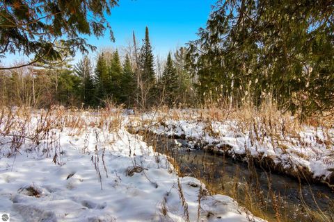 Tiny photo for 5349 Grass River Road, Bellaire, MI 49615 (MLS # 1941087)