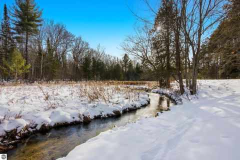 Tiny photo for 5349 Grass River Road, Bellaire, MI 49615 (MLS # 1941087)