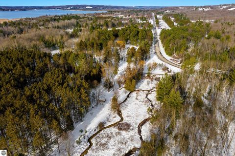 Tiny photo for 5349 Grass River Road, Bellaire, MI 49615 (MLS # 1941087)