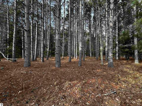 Tiny photo for 5349 Grass River Road, Bellaire, MI 49615 (MLS # 1941087)