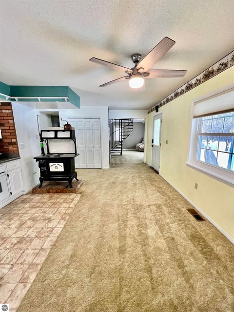 Tiny photo for 523 N Elm, Ithaca, MI 48847 (MLS # 1941172)