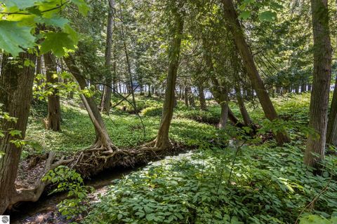 Tiny photo for 3463 NE Torch Lake Drive, Central Lake, MI 49622 (MLS # 1934829)