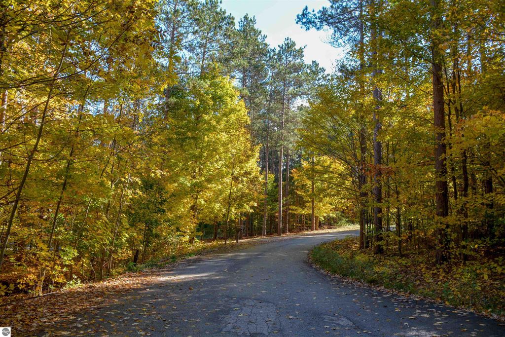 Photo of W Timber Lane, Empire, MI 49630 (MLS # 1939900)