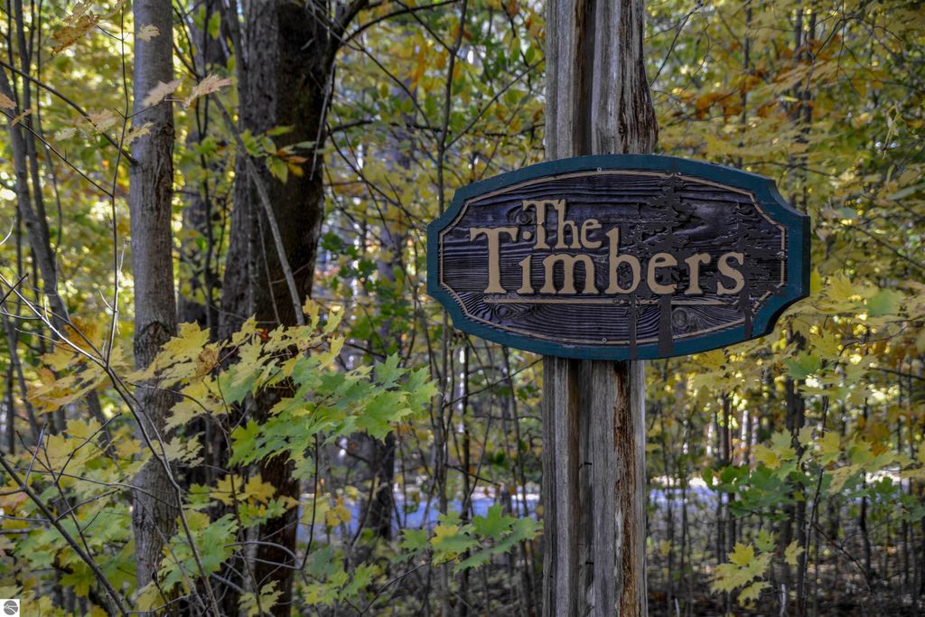 Photo of W Timber Lane, Empire, MI 49630 (MLS # 1939900)
