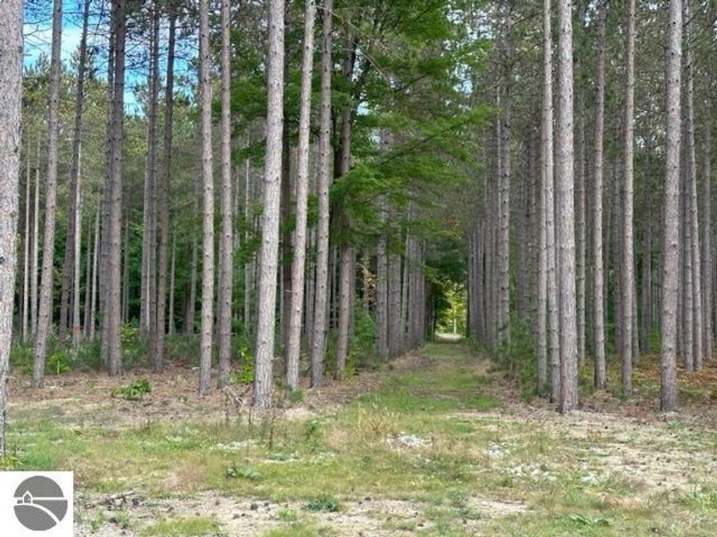 Photo of 20 Cascade Trail, Traverse City, MI 49685 (MLS # 1939829)