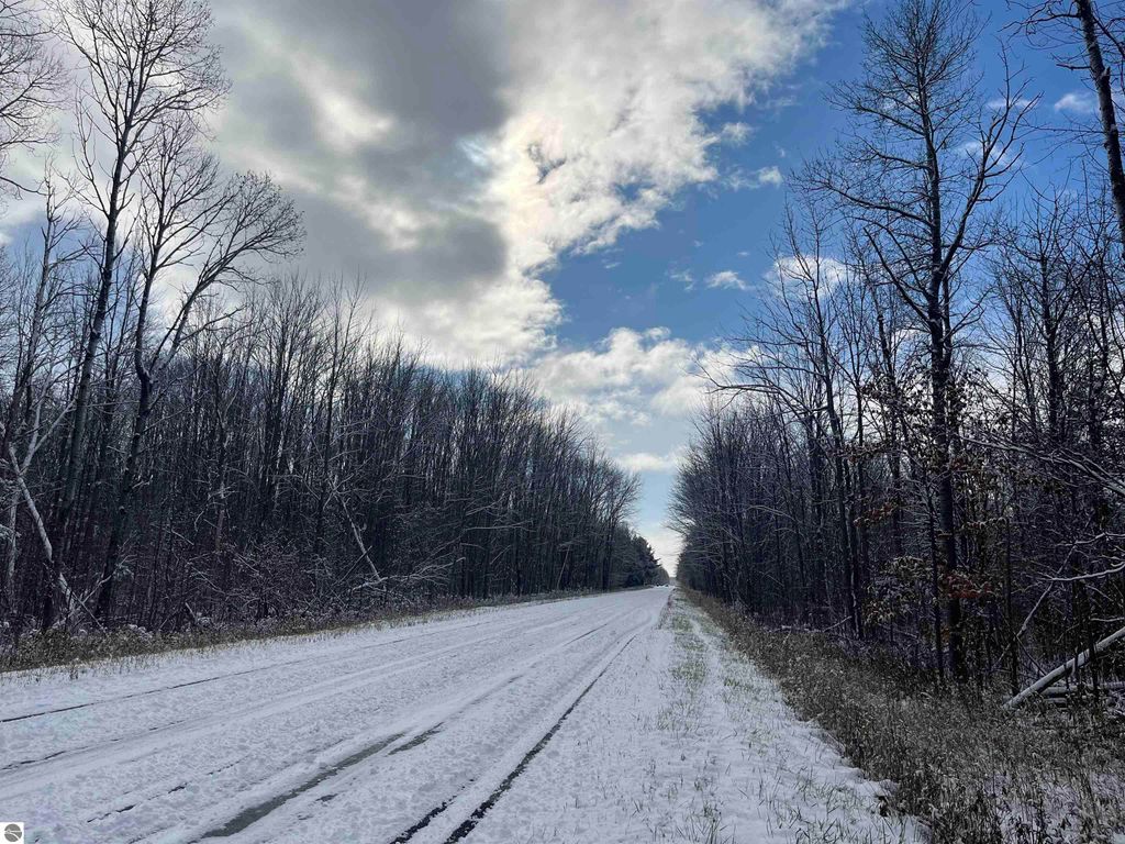 Photo of Big Four Road, Bear Lake, MI 49614 (MLS # 1940561)