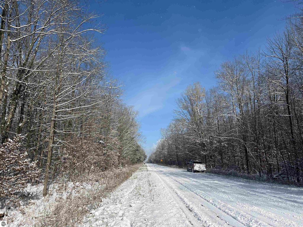 Photo of Big Four Road, Bear Lake, MI 49614 (MLS # 1940561)