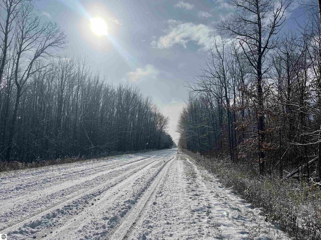 Photo of Big Four Road, Bear Lake, MI 49614 (MLS # 1940561)