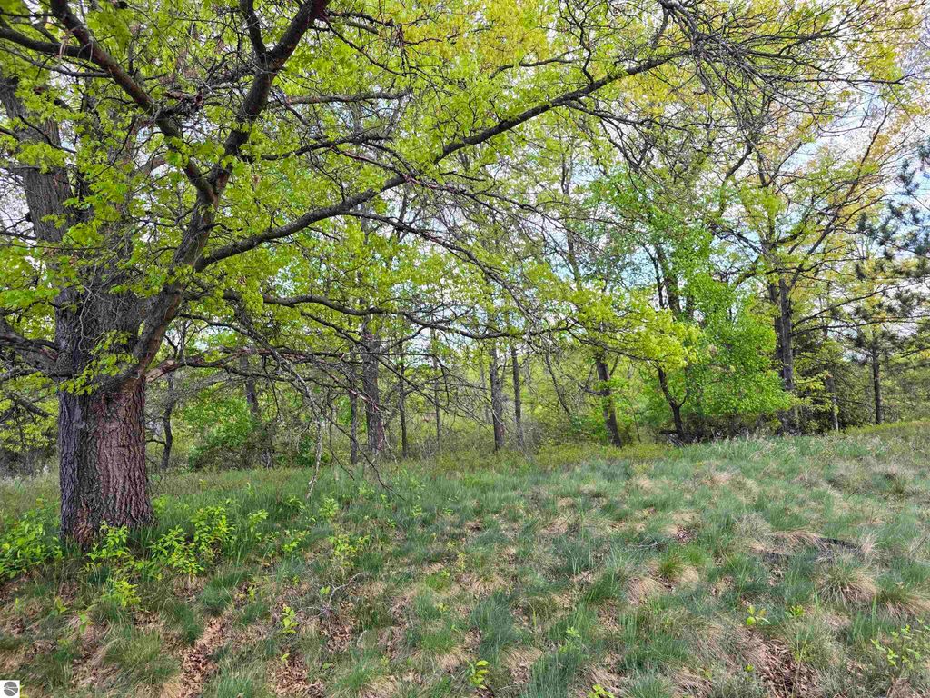 Photo of Cedar and 12th Street, Evart, MI 49631 (MLS # 1937136)