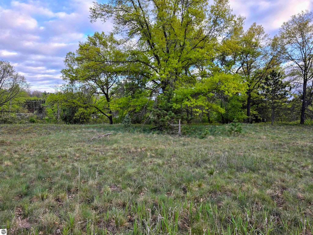 Photo of Cedar and 12th Street, Evart, MI 49631 (MLS # 1937136)