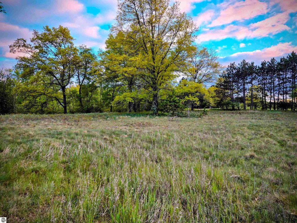 Photo of Cedar and 12th Street, Evart, MI 49631 (MLS # 1937136)