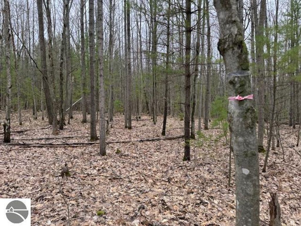 Photo of VL Gaukel Road, Lake City, MI 49651 (MLS # 1933231)