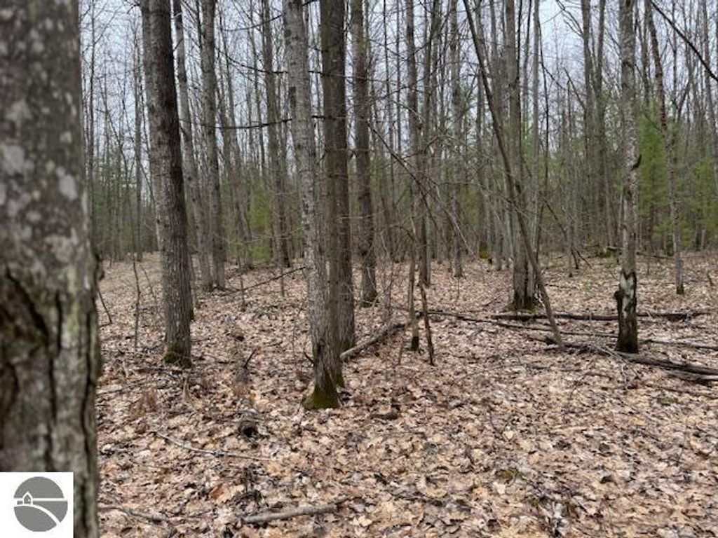 Photo of VL Gaukel Road, Lake City, MI 49651 (MLS # 1933231)