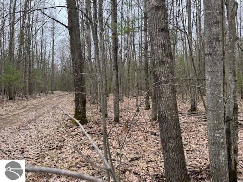Photo of VL Gaukel Road, Lake City, MI 49651 (MLS # 1933231)