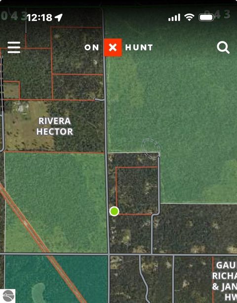 Tiny photo for 11164 N Merrillville Road, Irons, MI 49644 (MLS # 1940532)