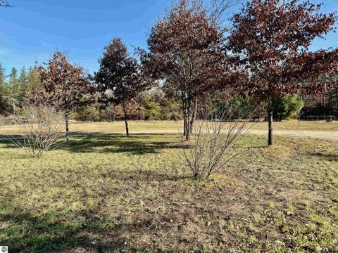 Tiny photo for 11164 N Merrillville Road, Irons, MI 49644 (MLS # 1940532)