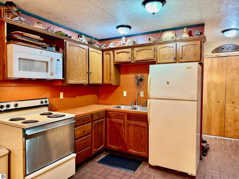 Tiny photo for 11164 N Merrillville Road, Irons, MI 49644 (MLS # 1940532)