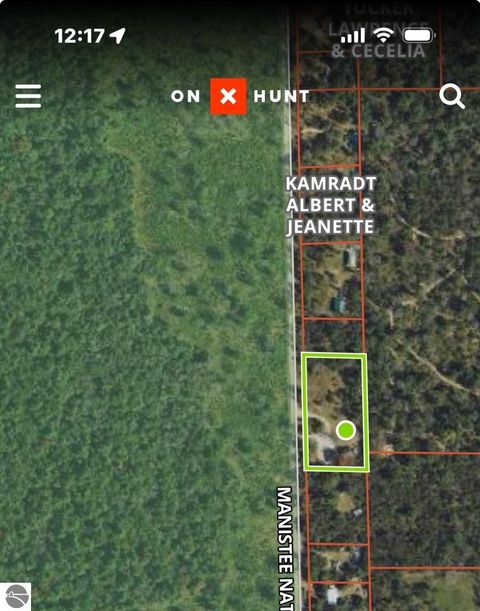 Tiny photo for 11164 N Merrillville Road, Irons, MI 49644 (MLS # 1940532)