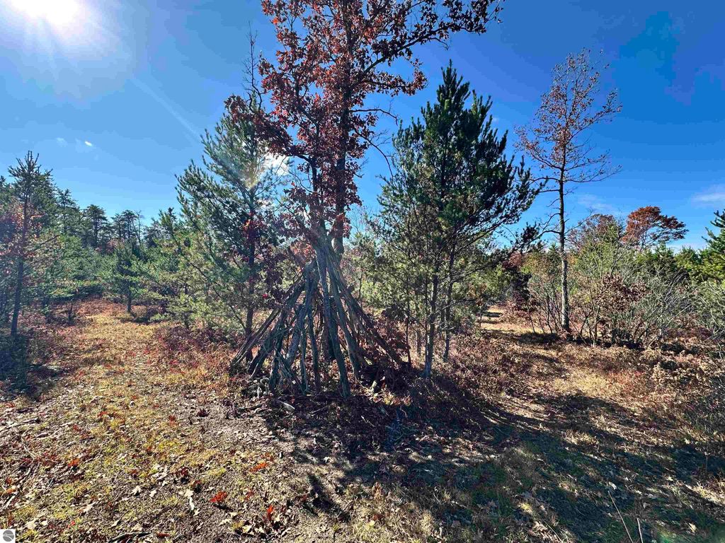 Photo of 11664 Revord Road, Fife Lake, MI 49633 (MLS # 1939790)